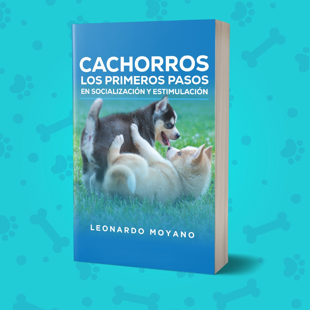 Cachorros. Los primeros pasos en socialización y estimulación