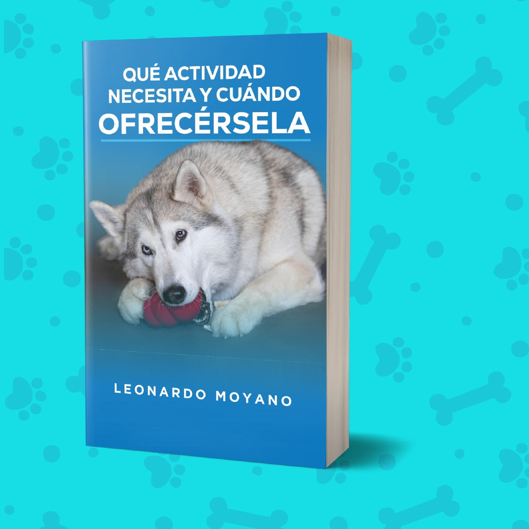 Qué actividad necesita y cuándo ofrecérsela