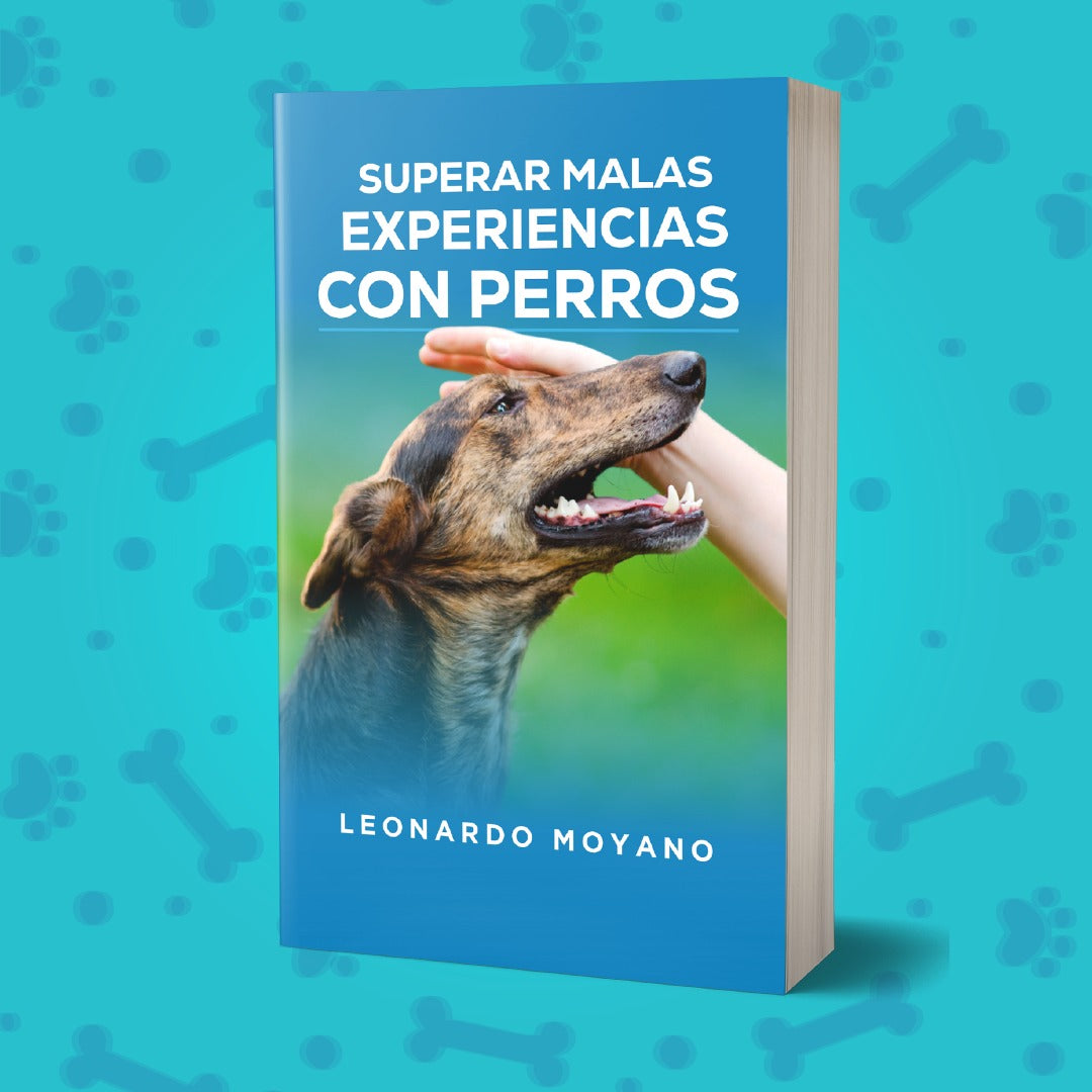 Superar mala experiencias con perros