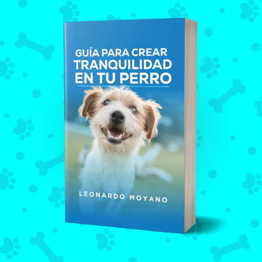 Guía para crear tranquilidad en tu perro
