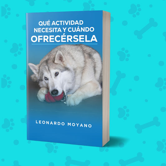 Qué actividad necesita y cuándo ofrecérsela