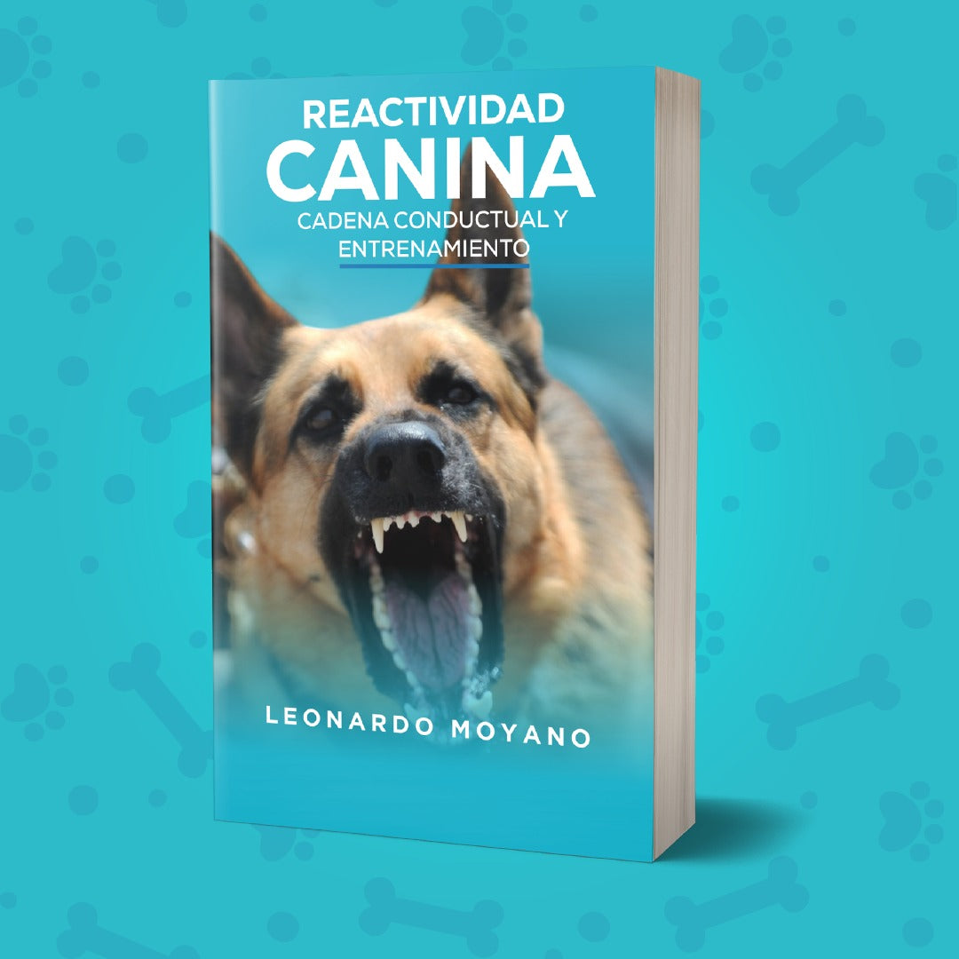 Reactividad Canina: cadena conductual y entrenamiento